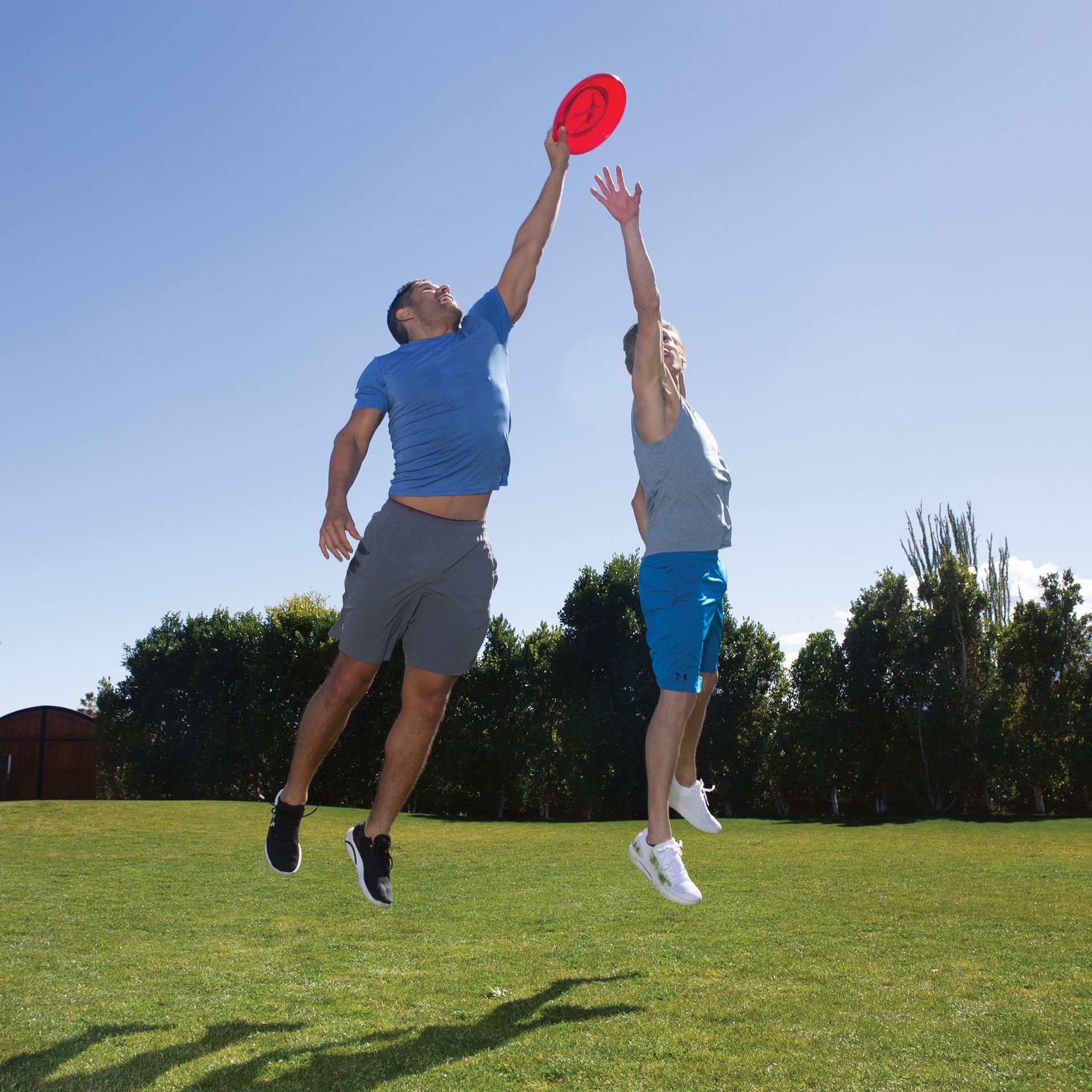 Frisbeescheibe "Aerobie" Medalist 175G