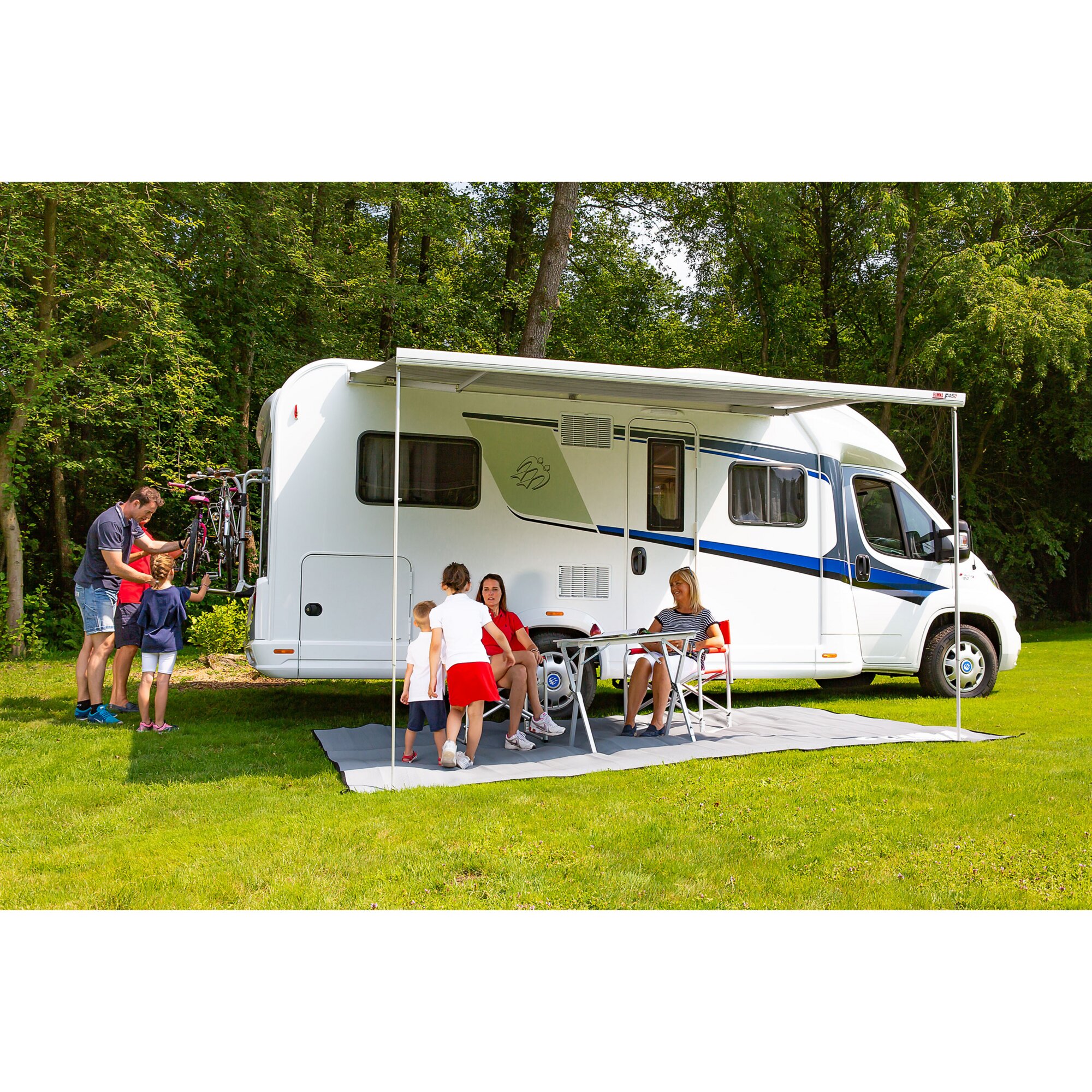 Markise F45 – polarweiß, 263 cm, Royal Grey