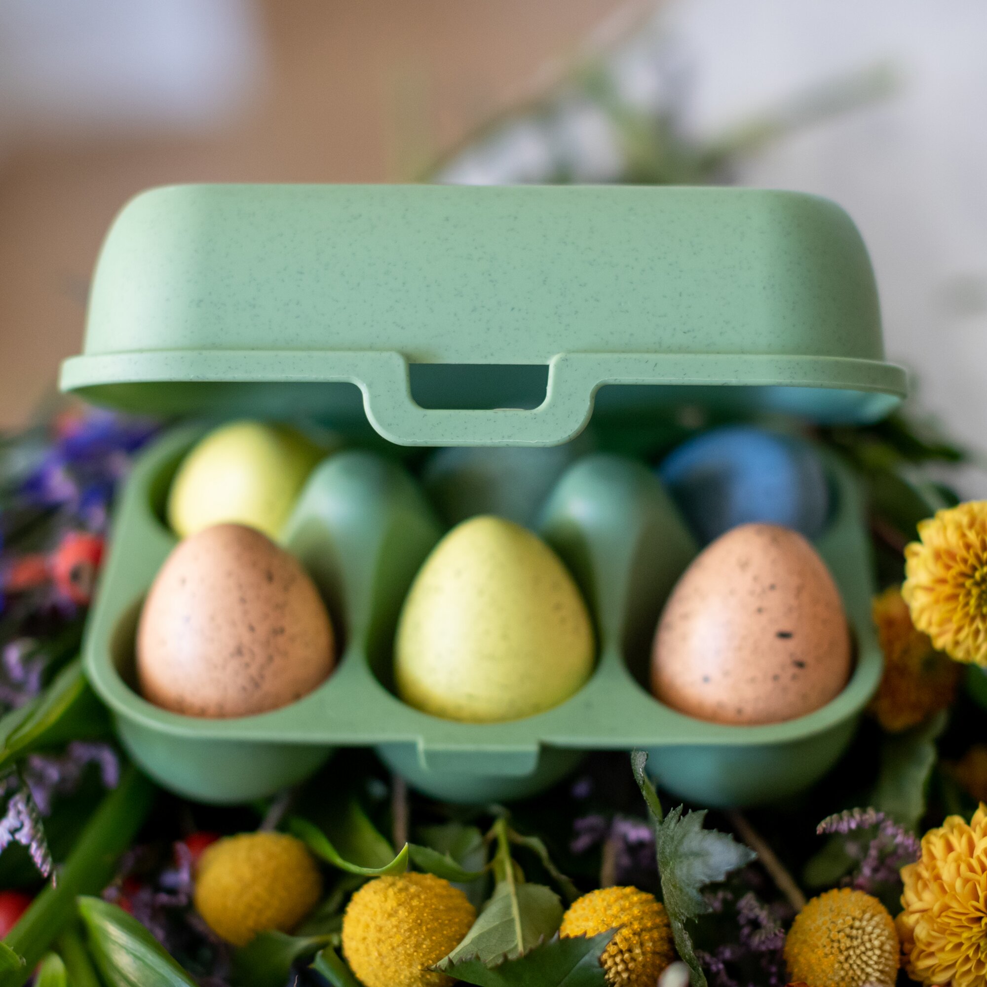 Eierbox mini EGGS TO GO