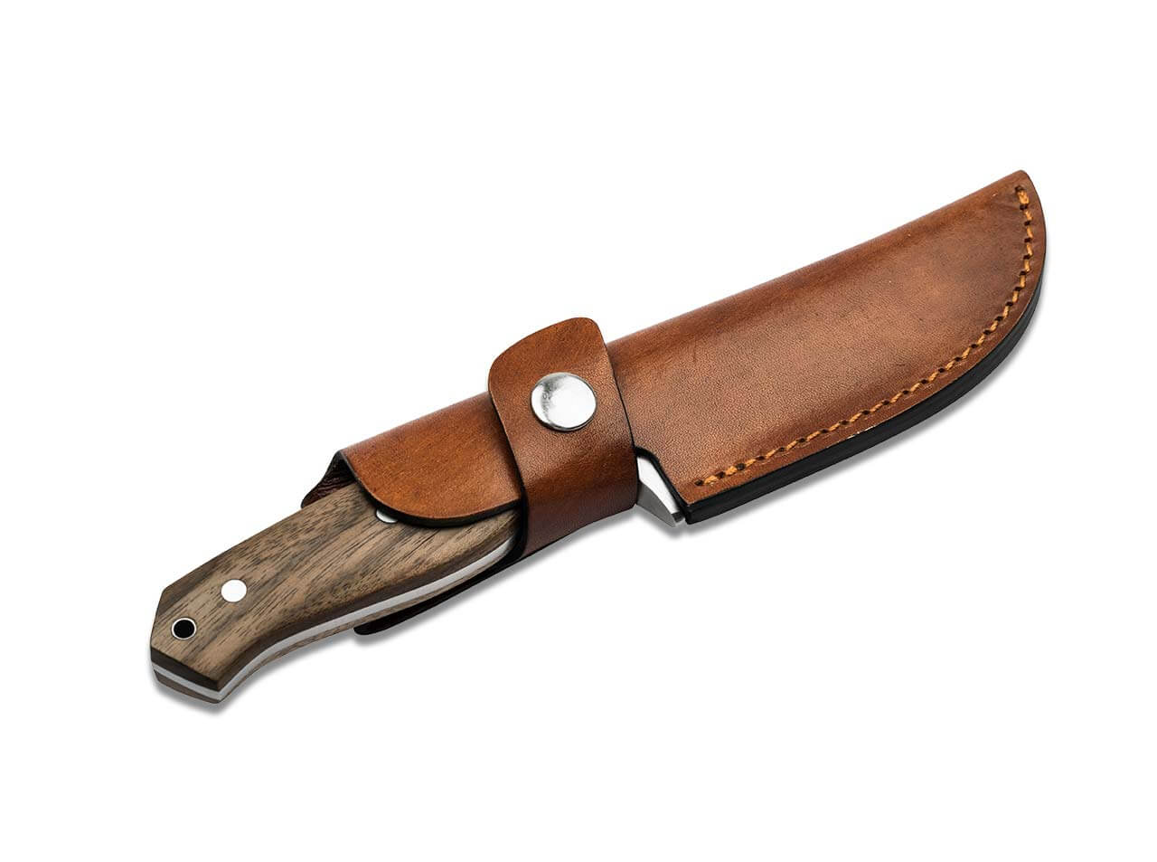 Magnum Walnut Drop