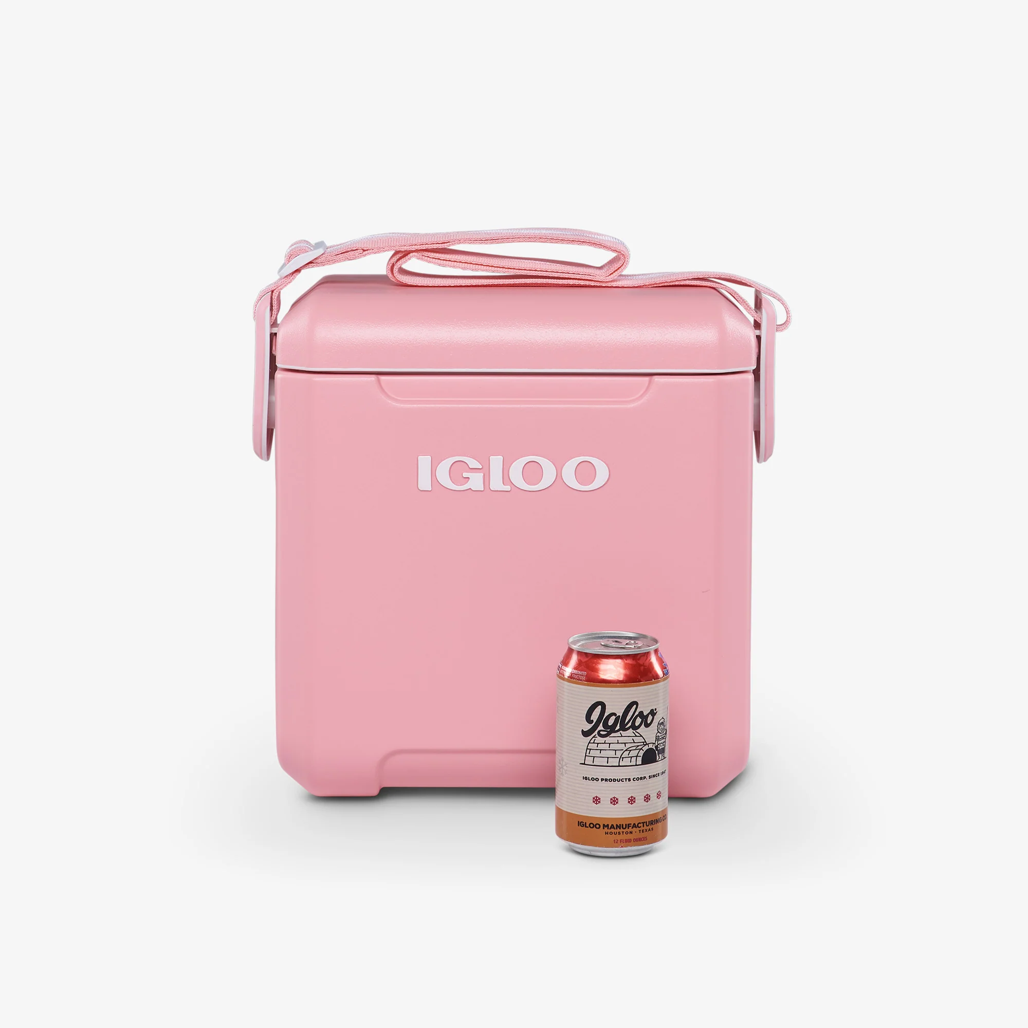 Tag-Along-Too Remix Kühlbox 10L