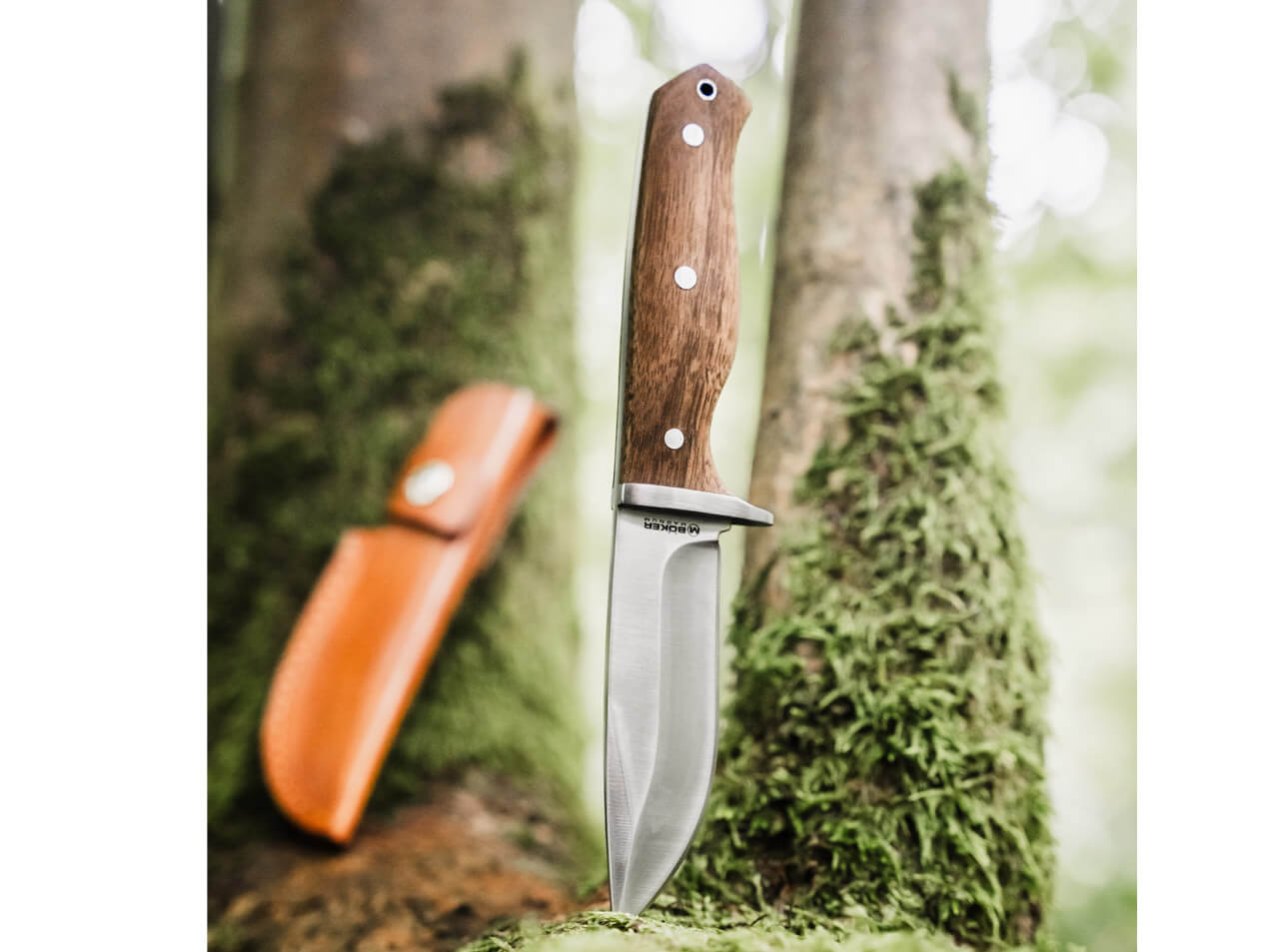 Magnum Walnut Drop