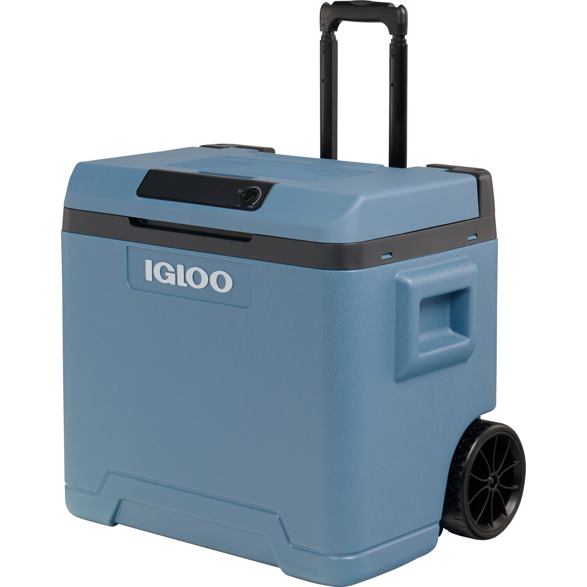 Igloo IE 42, 12/230 Volt