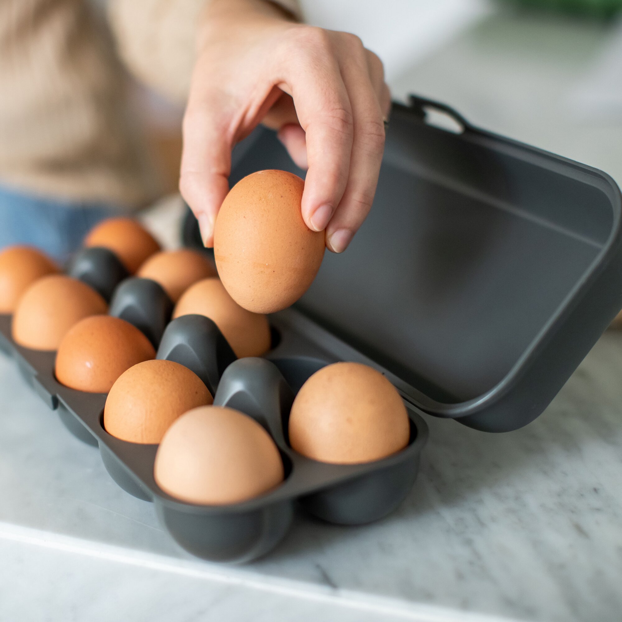 Eierbox EGGS TO GO, grau